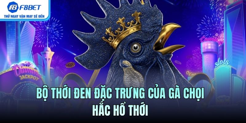 Bộ thới đen đặc trưng của gà chọi hắc hổ thới