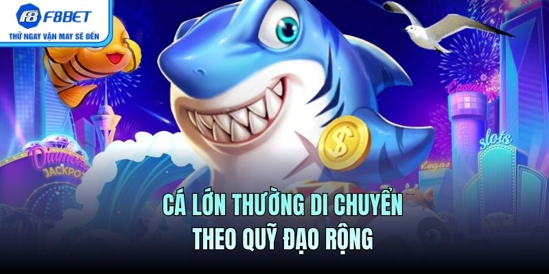 Cá lớn thường di chuyển theo quỹ đạo rộng