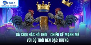 Gà Chọi Hắc Hổ Thới – Chiến Kê Mạnh Với Bộ Thới Đen Đặc Trưng