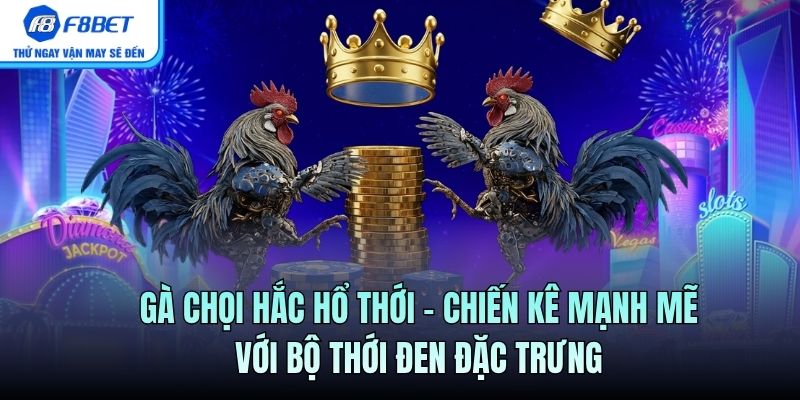 Gà Chọi Hắc Hổ Thới – Chiến Kê Mạnh Với Bộ Thới Đen Đặc Trưng