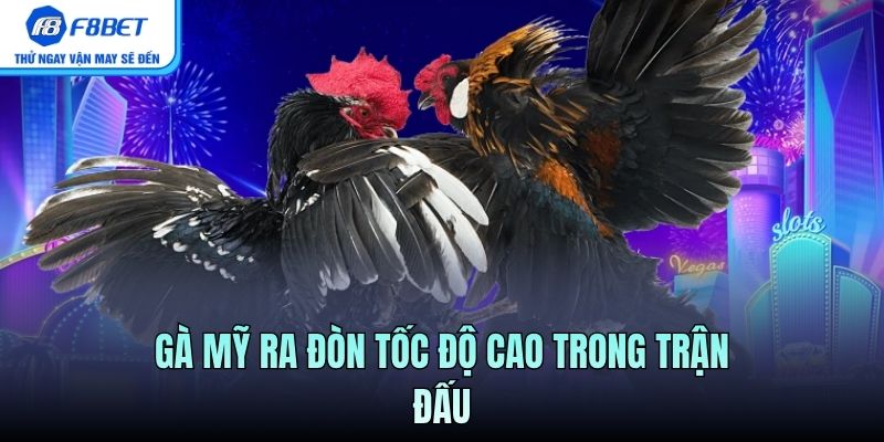 Gà Mỹ ra đòn tốc độ cao trong trận đấu