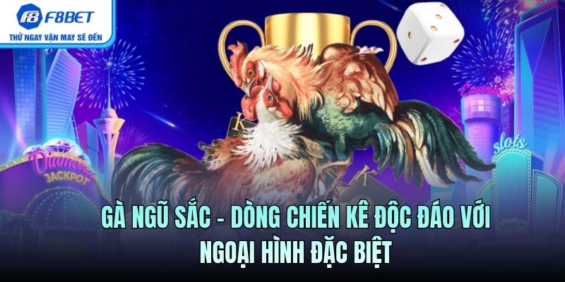 Gà Ngũ Sắc – Dòng Chiến Kê Độc Đáo Với Ngoại Hình Đặc Biệt