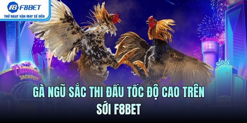 Gà ngũ sắc thi đấu tốc độ cao trên sới F8BET