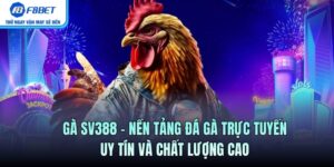 Gà SV388 – Nền Tảng Đá Gà Trực Tuyến Uy Tín Và Chất Lượng Cao