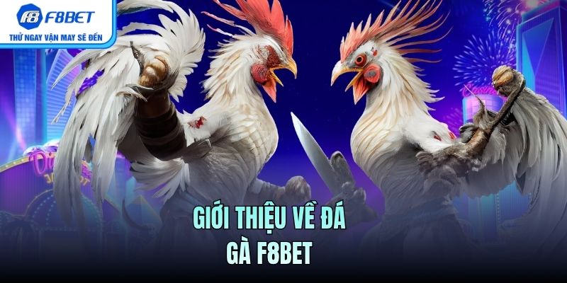 Giới thiệu về Đá Gà F8BET