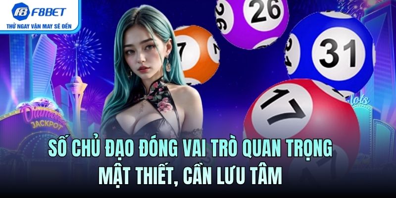 Số chủ đạo đóng vai trò quan trọng mật thiết, cần lưu tâm