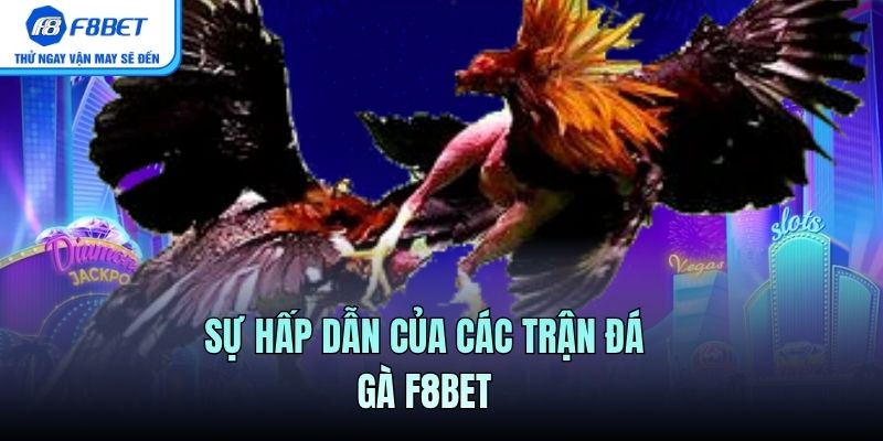 Sự hấp dẫn của các trận Đá Gà F8BET
