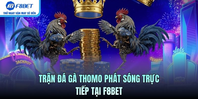 Trận đá gà Thomo phát sóng trực tiếp tại F8BET